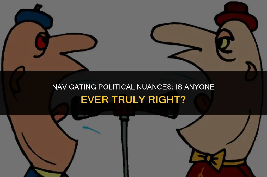 is anyone ever right in politics