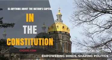 The Constitution and the Capital: Where's Washington?