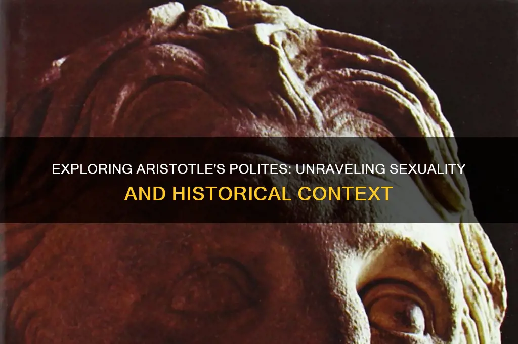 is aristotle polites gay