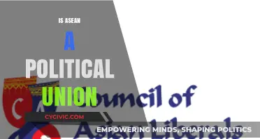 Is ASEAN a Political Union? Exploring Its Structure and Limitations