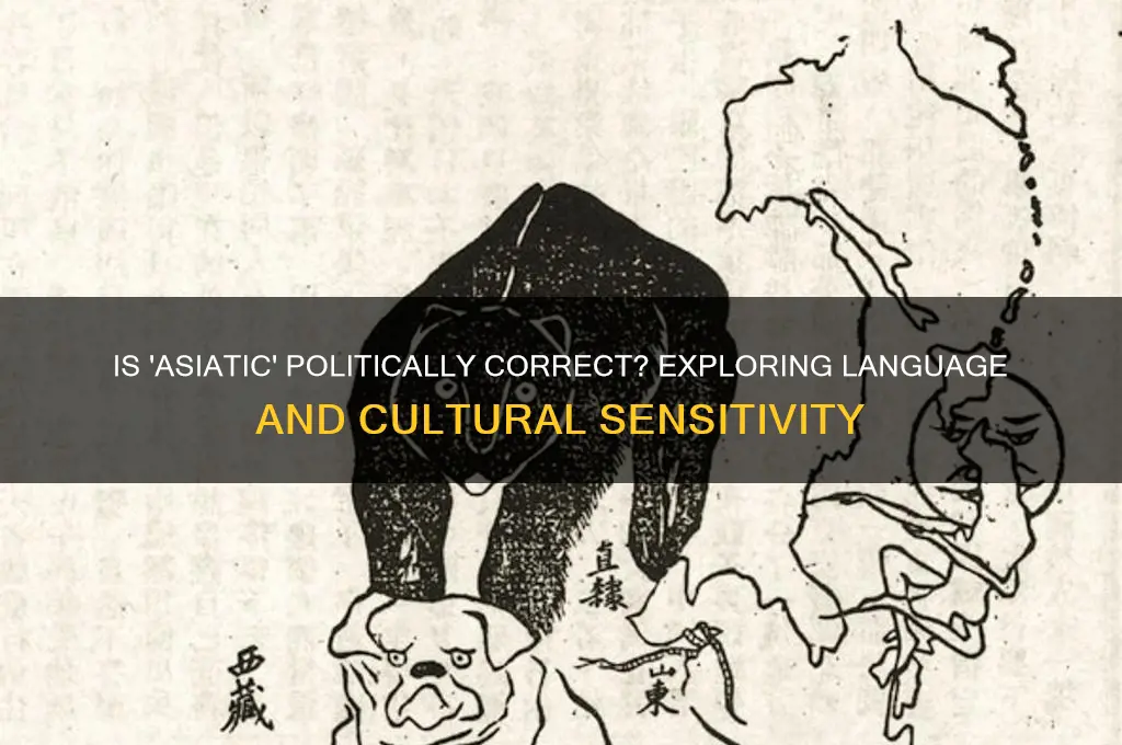 is asiatic politically correc