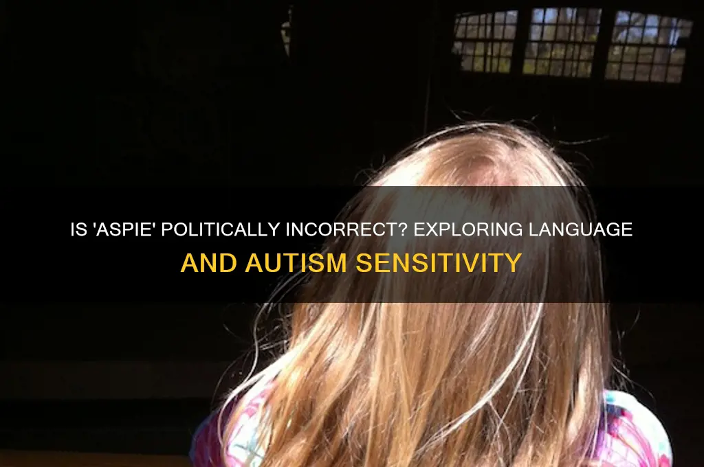 is aspie politically incorrect