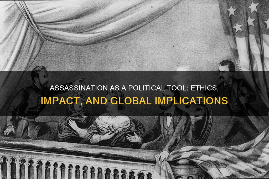 is assassination a political issue