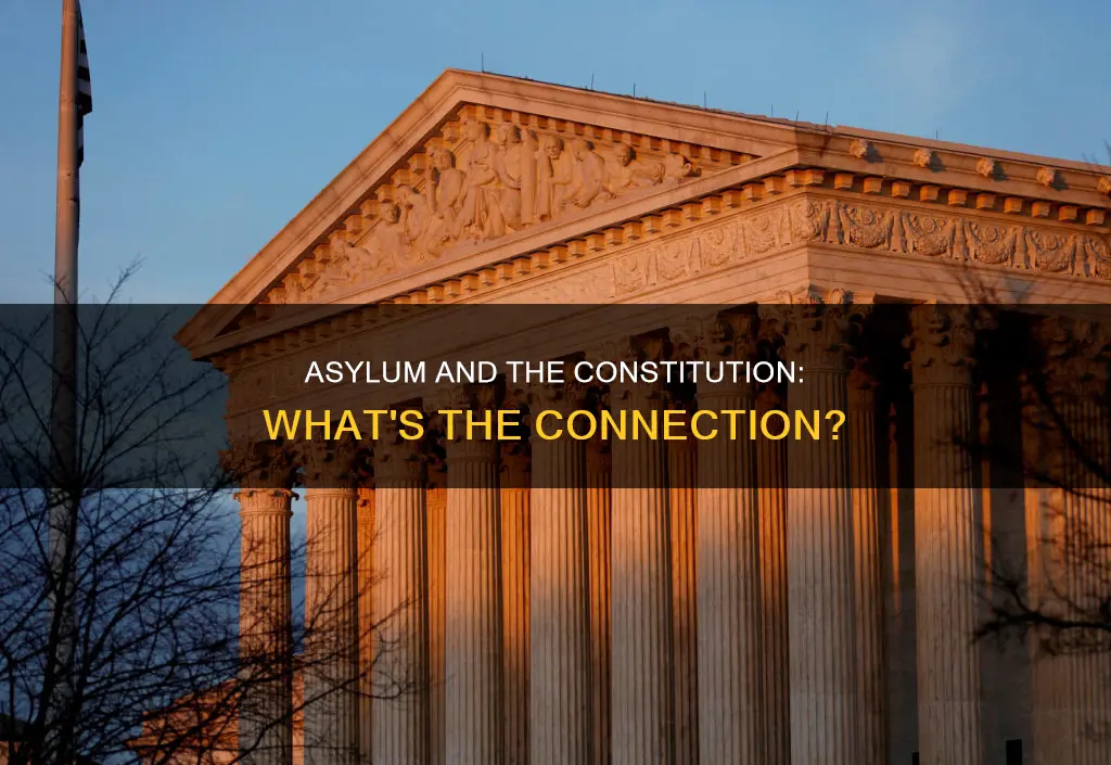 is asylum part of the constitution