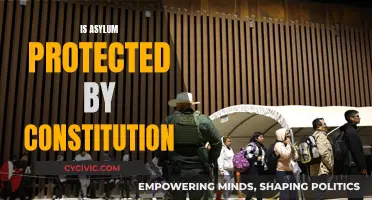 Asylum Seekers' Constitutional Rights: What Protections Exist?