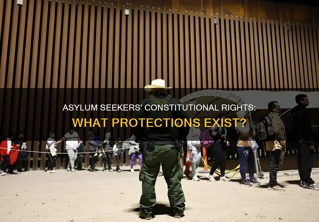 is asylum protected by constitution