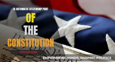 Automatic Citizenship: A Constitutional Right?