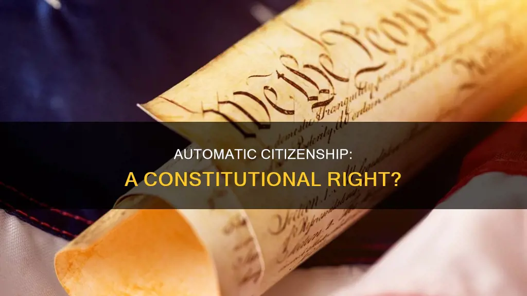 is automatic citizenship part of the constitution