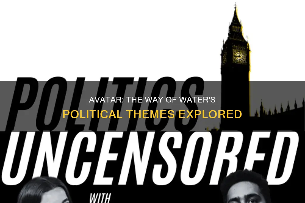 is avatar 2 political