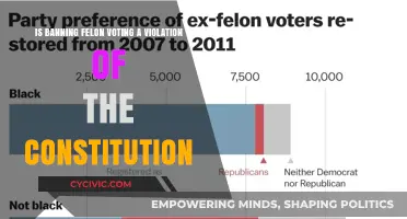 Felon Voting Bans: Unconstitutional?