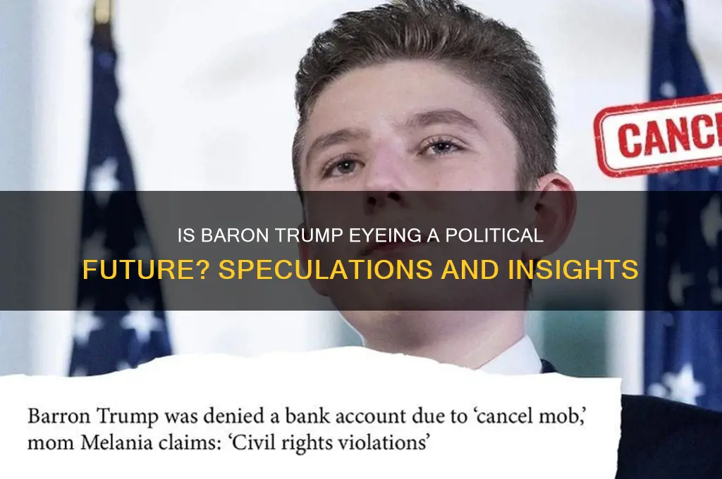 is baron trump entering politics