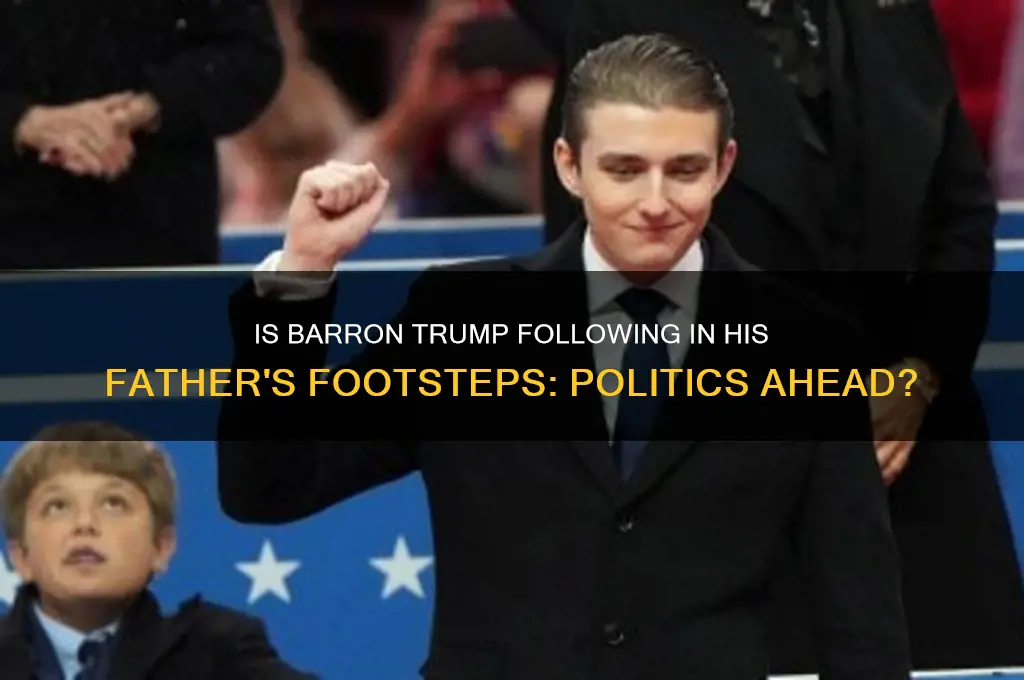 is barron trump entering politics