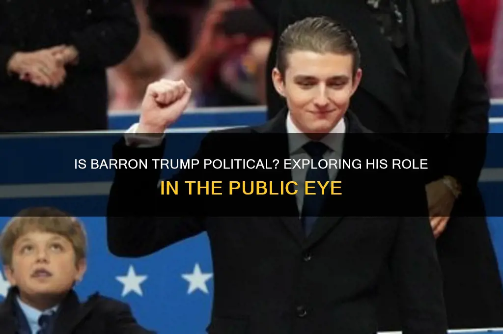 is barron trump political