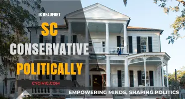 Is Beaufort, SC Politically Conservative? Exploring Local Political Leanings