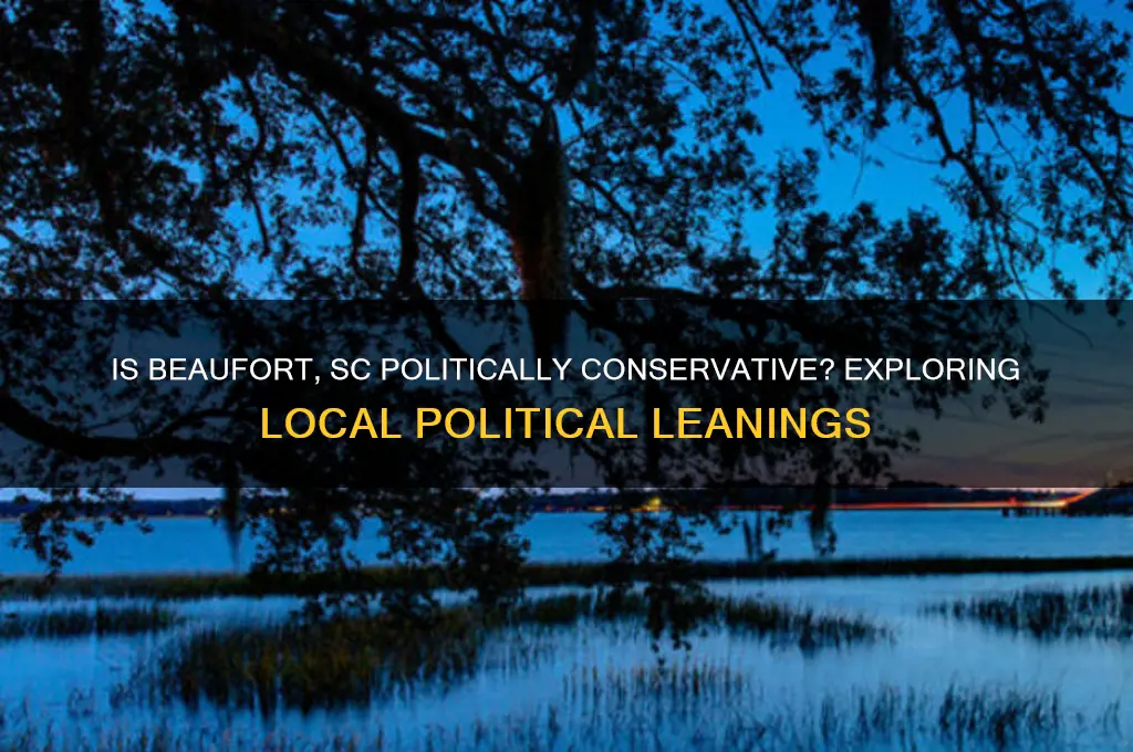 is beaufort sc conservative politically