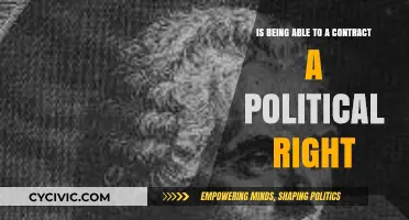 Exploring the Nexus of Contractual Ability and Political Rights