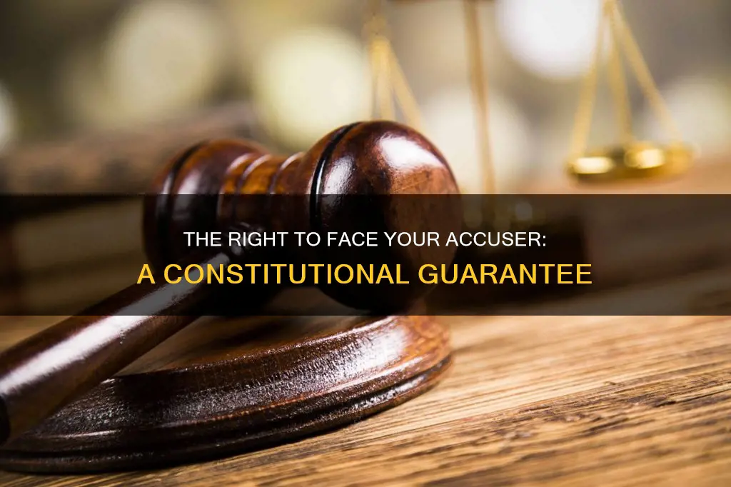 is being able to face your accuser in the constitution