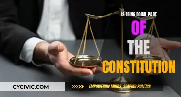 Equality: The Constitutional Right We All Deserve