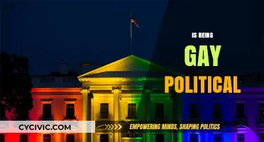 Is Being Gay Political? Exploring Identity, Rights, and Societal Impact