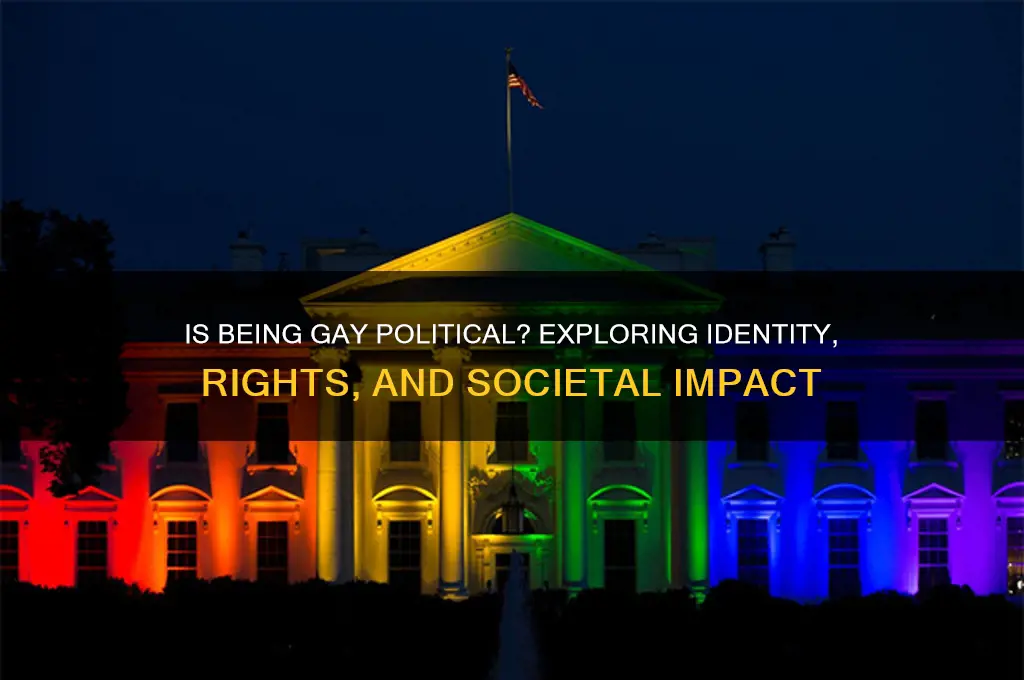 is being gay political