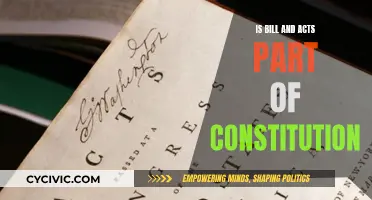 Understanding the Constitution: Bills, Acts, and Their Place