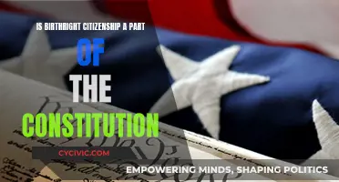 Birthright Citizenship: Constitutional Right or Political Ploy?