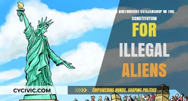 Birthright Citizenship: Who Does the Constitution Protect?