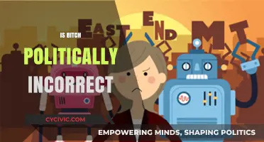 Is 'Bitch' Politically Incorrect? Exploring Language, Context, and Sensitivity