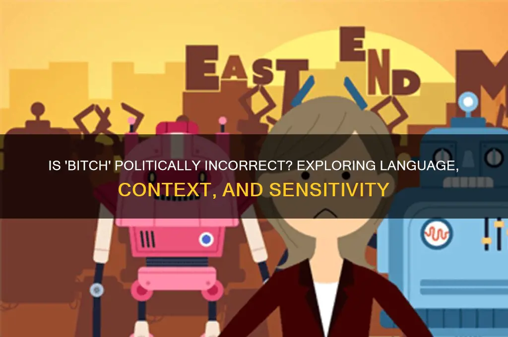 is bitch politically incorrect