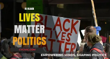 Is Black Lives Matter Politics? Exploring the Movement's Impact and Role