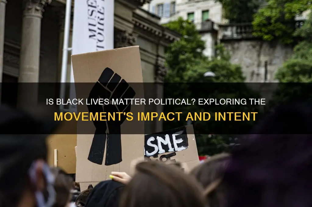 is black lives political