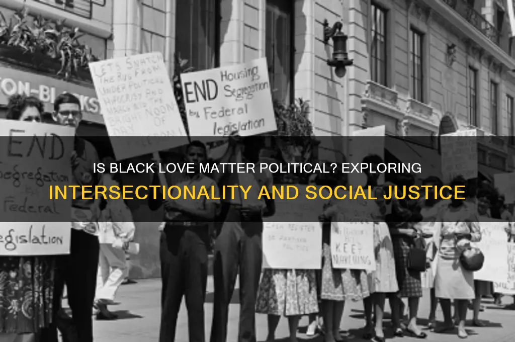 is black loves matter political
