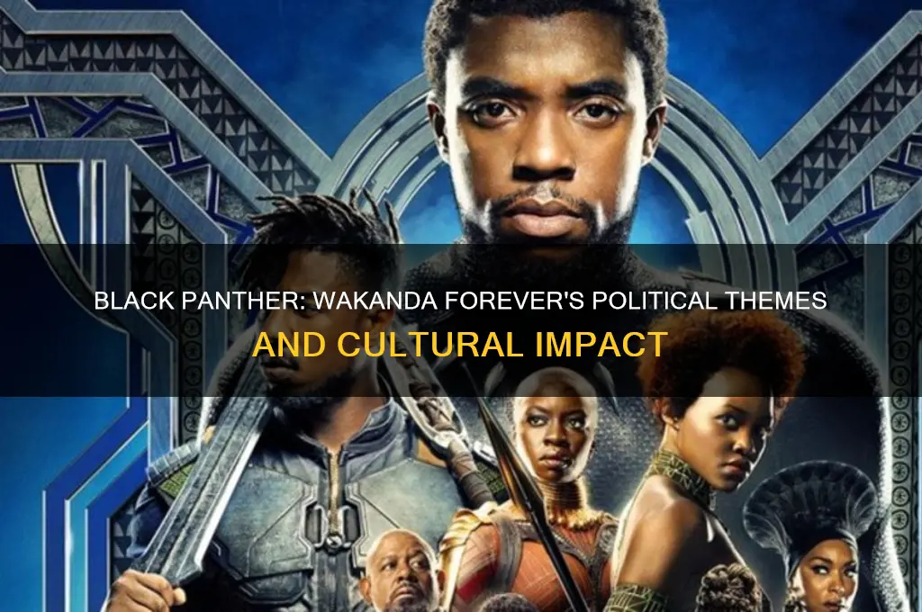 is black panther 2 political