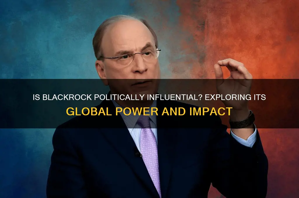 is black rock political