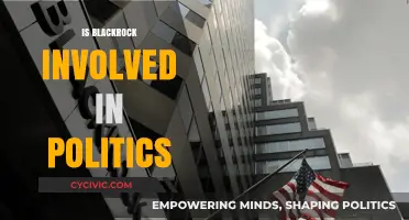 BlackRock's Political Influence: Uncovering Its Role in Global Politics