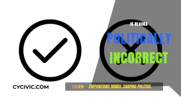 Is 'Blacks' Politically Incorrect? Exploring Language and Sensitivity