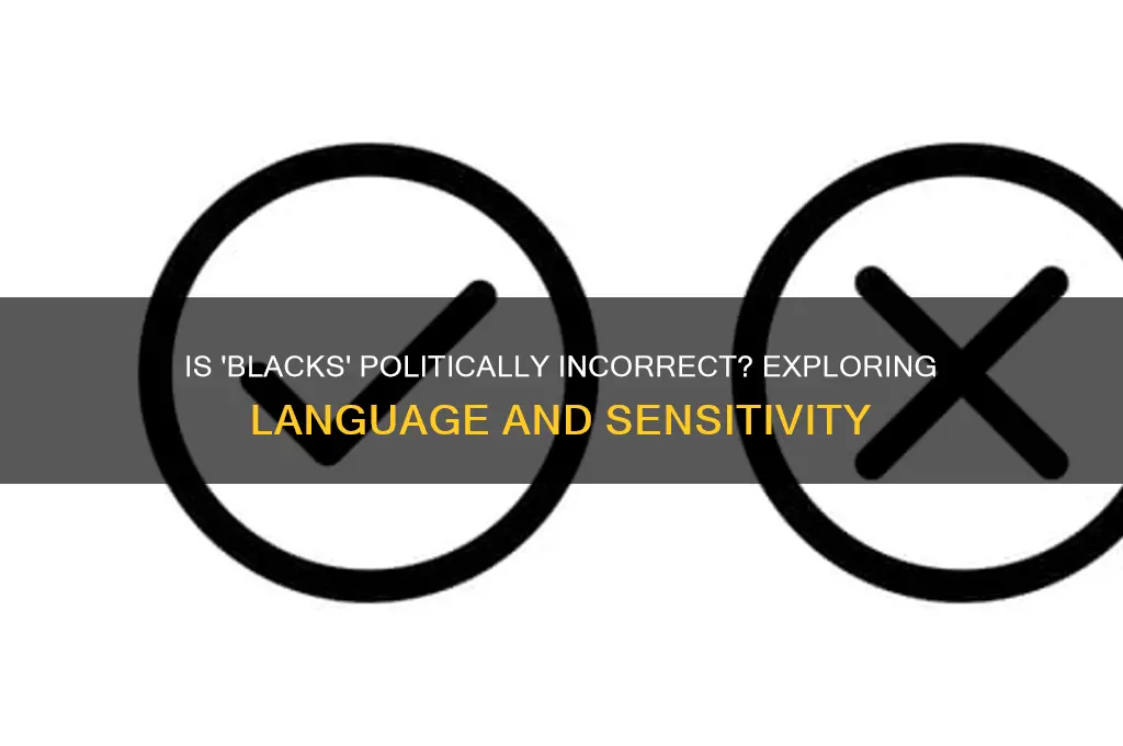 is blacks politically incorrect