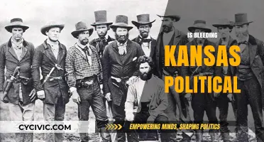 Bleeding Kansas: A Political Catalyst in American History?
