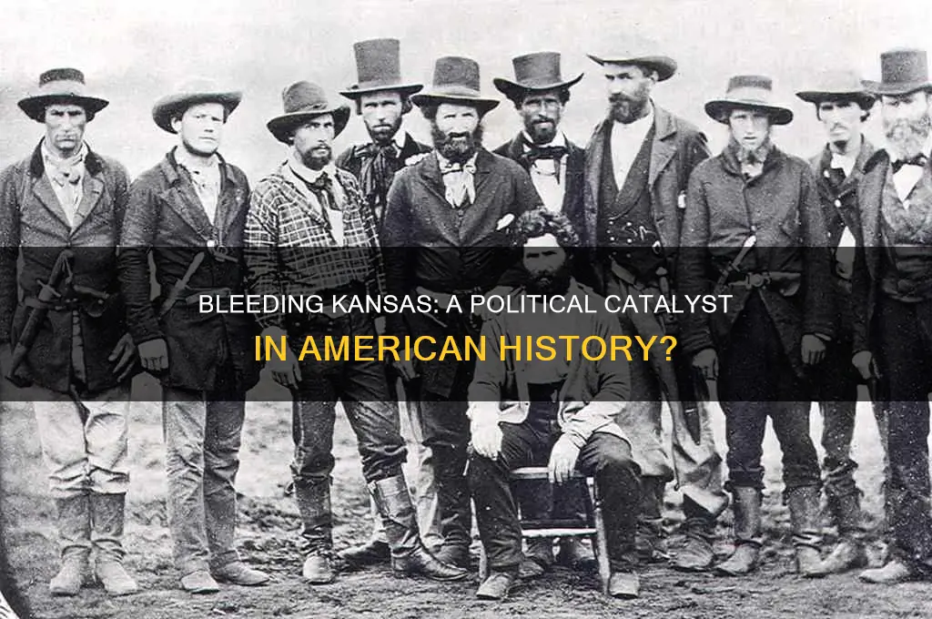 is bleeding kansas political