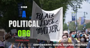 Is Black Lives Matter a Political Organization? Exploring Its Role and Impact