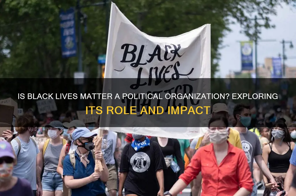 is blm a political org