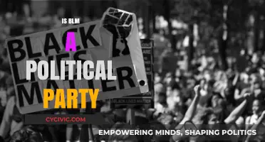 Is BLM a Political Party? Unraveling the Movement's Role in Politics