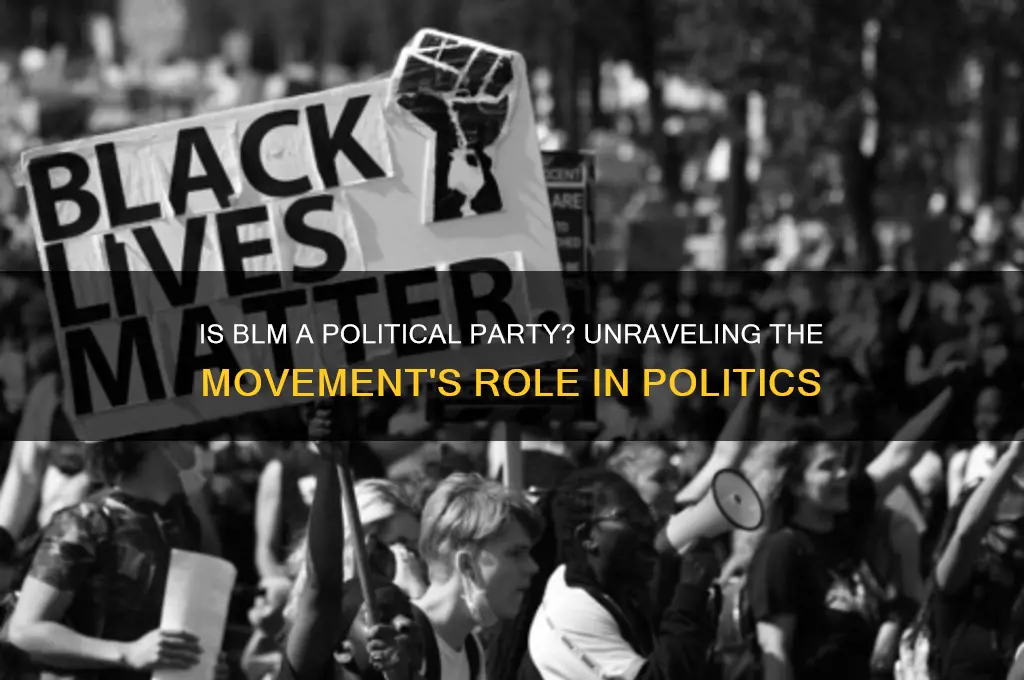 is blm a political party