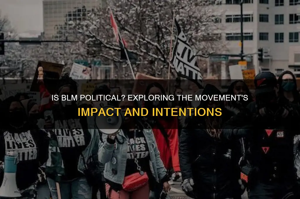 is blm a political