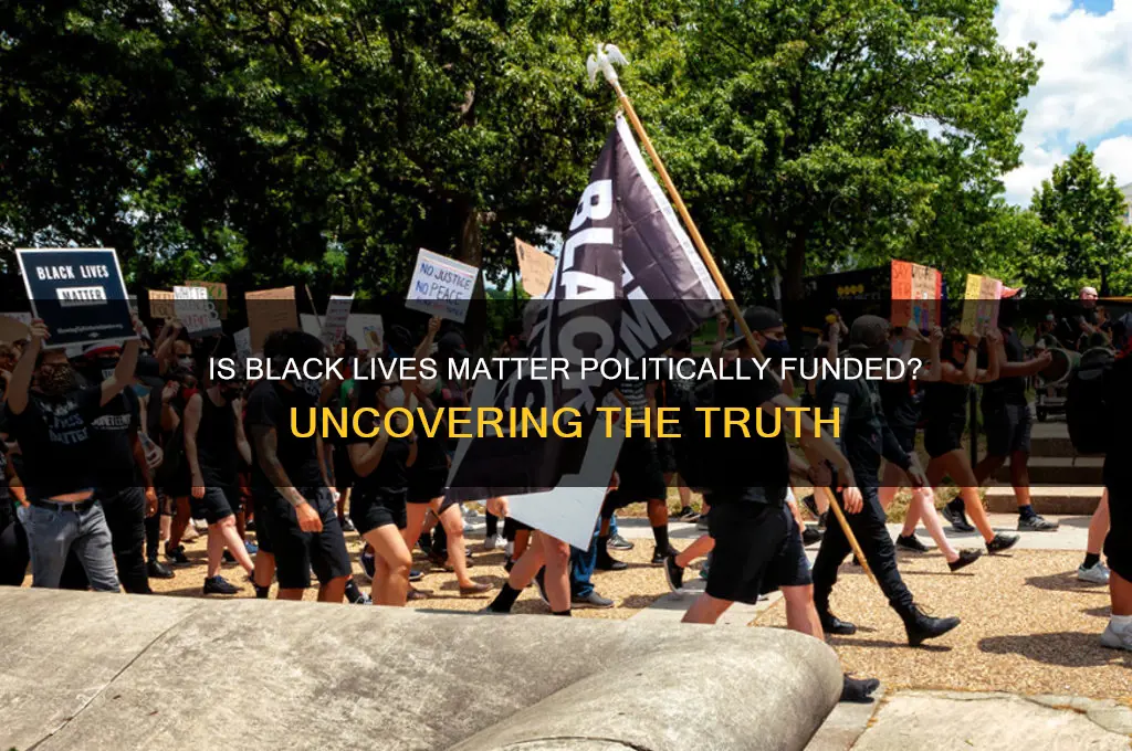 is blm political funded