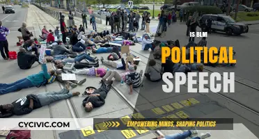 Is BLM Political Speech? Exploring the Intersection of Activism and Politics