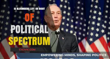 Decoding Bloomberg's Political Stance: Left, Right, or Center?