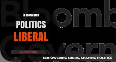 Is Bloomberg Politics Liberal? Uncovering Bias in Media Coverage