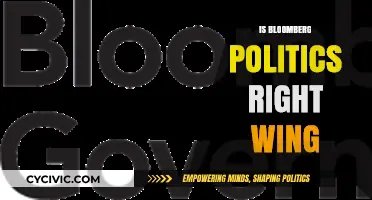 Decoding Bloomberg Politics: A Right-Wing Perspective?