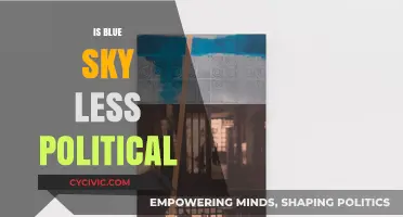 Is Blue Sky Politics Truly Less Divisive? Exploring the Debate